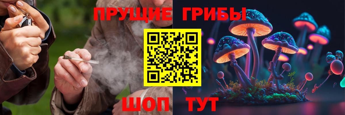 Чусовой  Галлюциногенные грибы прущие грибы  Вход с VPN 